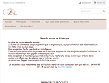 Tablet Screenshot of fauxseins.fr